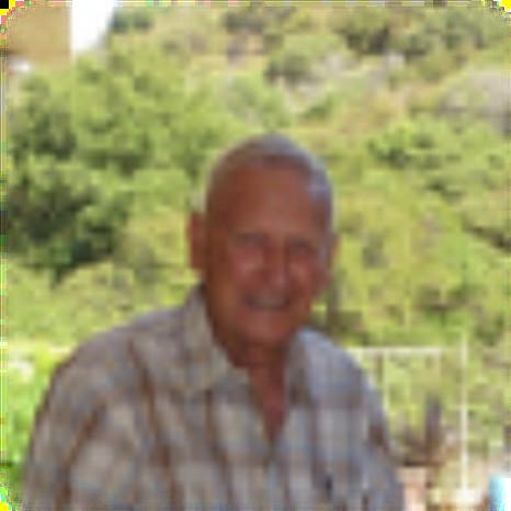 alan mcauley